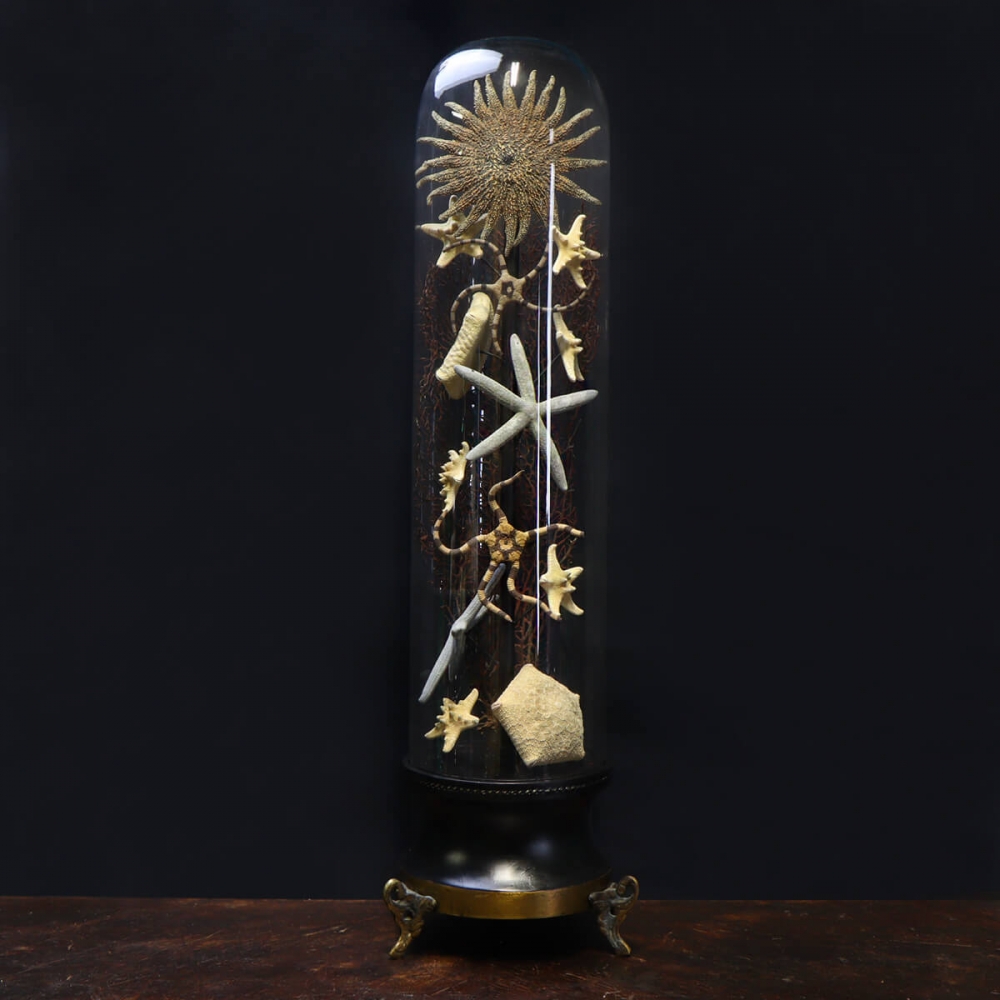 Spilla A Stella Marina Con Cristallo Aurora Boreale &ndash; Vintage Art D&eacute;co - Regalo Perfetto